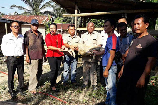 Bantuan Hewan Ternak untuk Warga Dusun