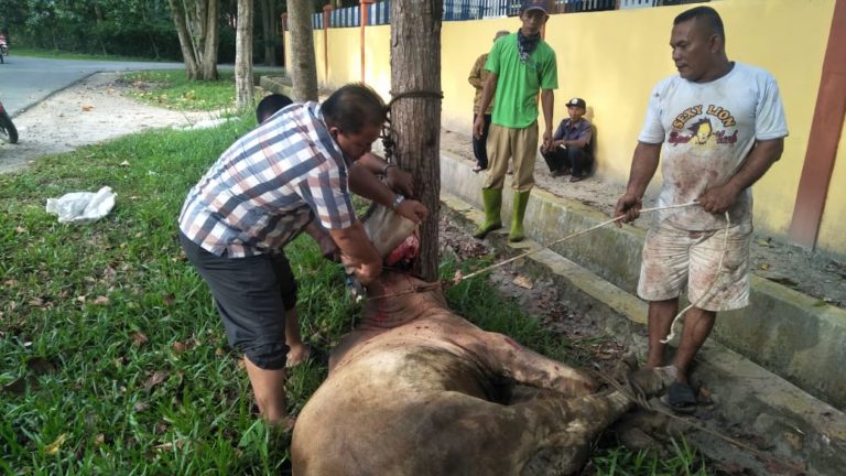 Meugang, Tradisi Kebersamaan Sambut Ramadhan