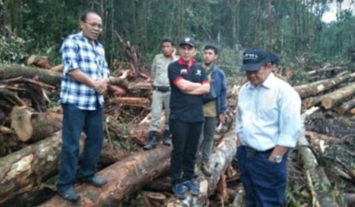 Soal Penebangan Hutan Akan Dilapor ke Presiden,  Polisi Tak Berani Tahan Barang Bukti Alat Berat