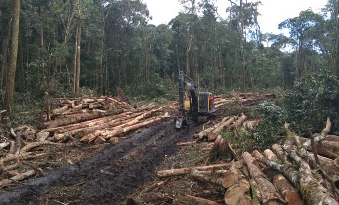 Ini Kata Kapolres Samosir Soal Penebangan Hutan Tele