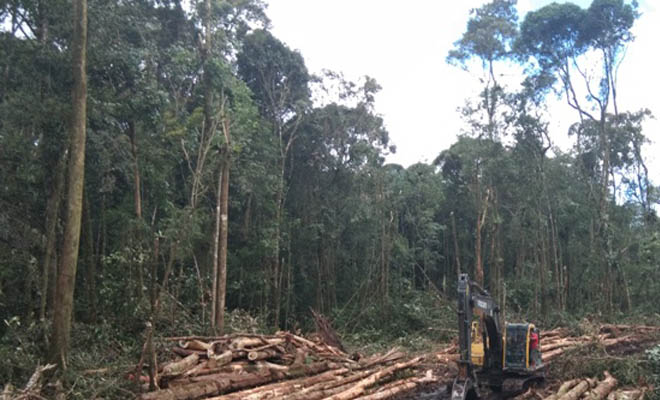 Misteri Kawasan Hutan Tele dan Pejabat di Samosir