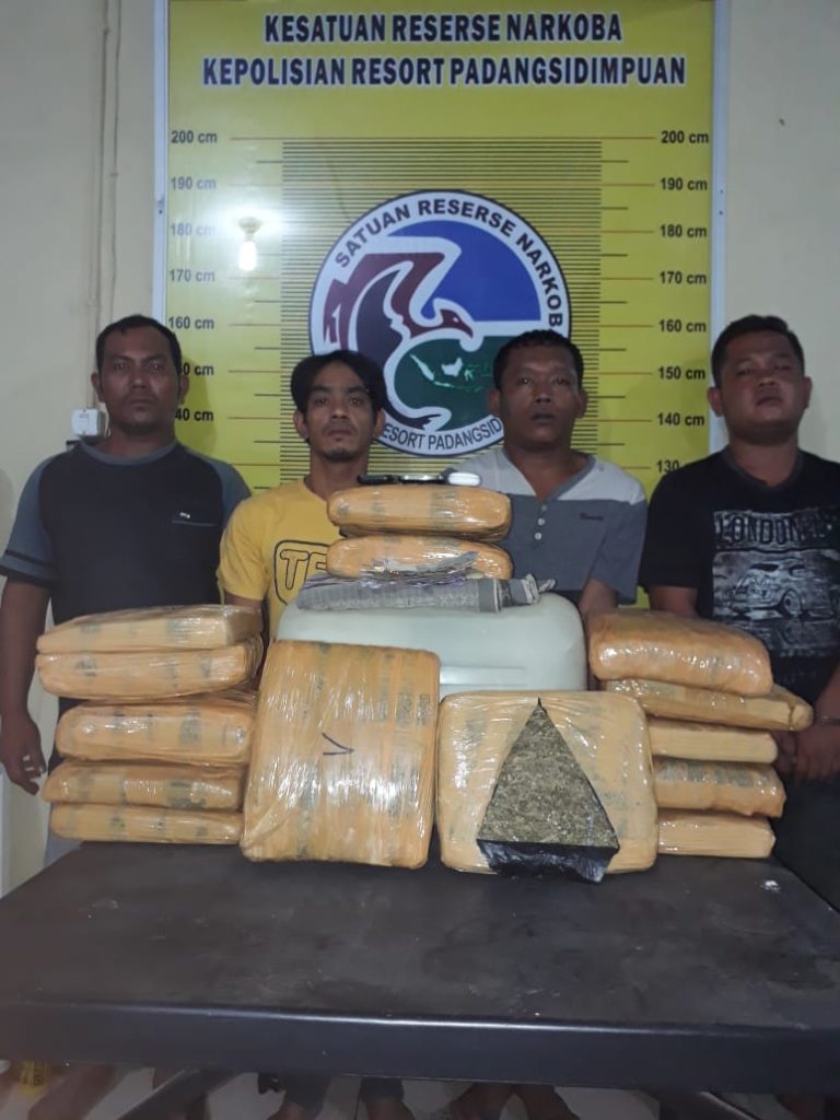 Empat pelaku pengedar daun ganja kering diamankan di Polres Padangsidimpuan. (mimbar/rizal)