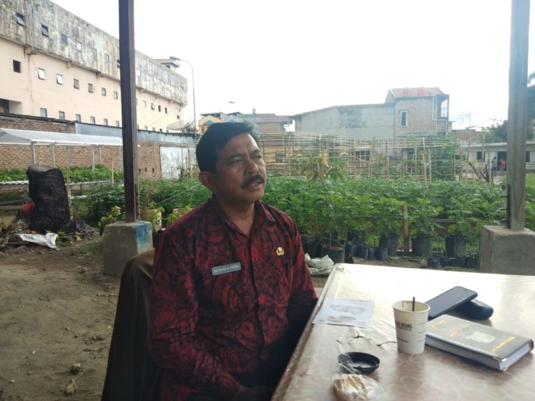 Ratusan Ekor Babi Mati di Karo
