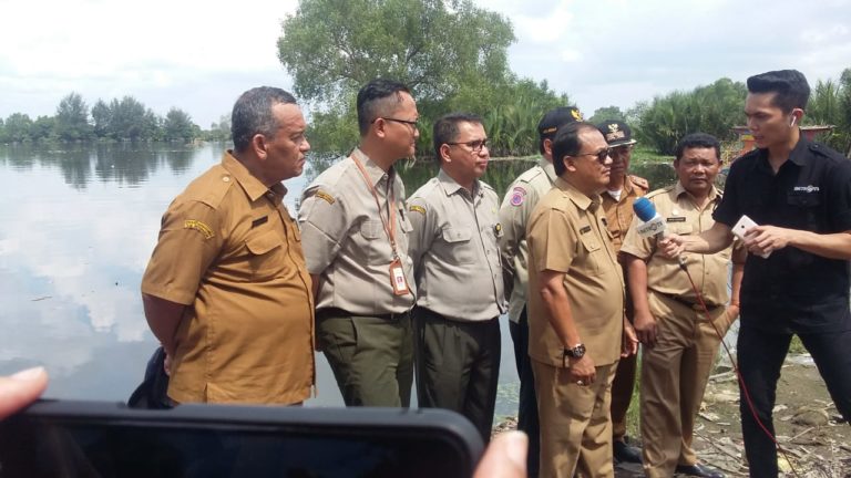 Ratusan Ekor Bangkai Ternak Babi Dikubur