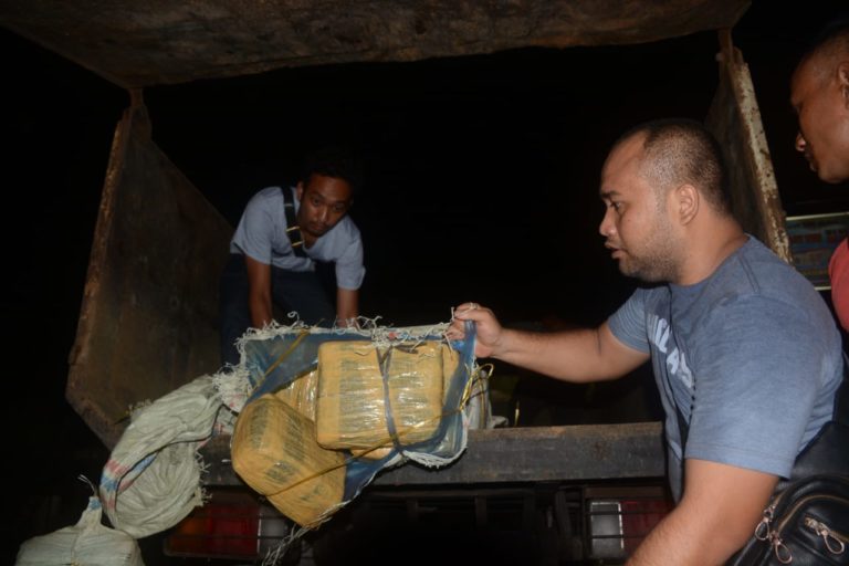 Aparat Sat Res Narkoba Polres Padang Sidimpuan menurunkan daun ganja kering dari dalam truk. (mimbar/rizal)