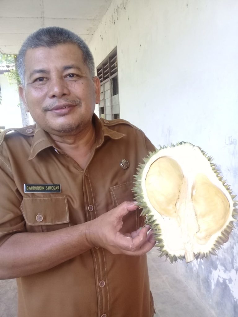 Seorang Pegawai Negeri Sipil (PNS) perlihatkan jenis durian. (ist)