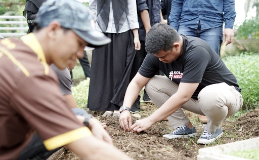 Bobby menanam sawi saat bersilaturahmi dengan Gabungan Kelompok Tani (Gapoktan) Kreatif di Jalan Eka Rosa Medan Johor. (mimbar/ist)