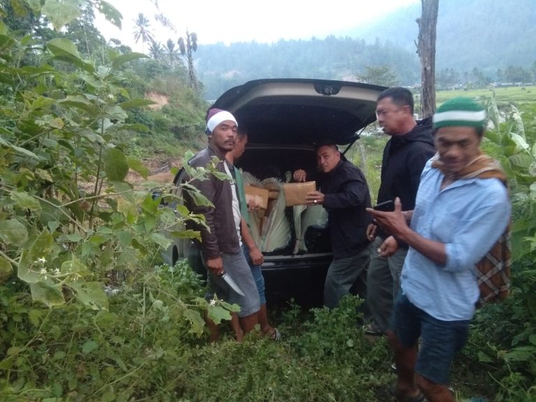 AKP Syamsuir memperlihatkan barang bukti ganja di tempat kejadian perkara. (mimbar/muhammad)