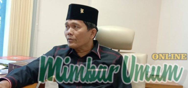 Anggota Fraksi PDIP DPRD Sumut, Poaradda Nababan. (mimbar/jamal)