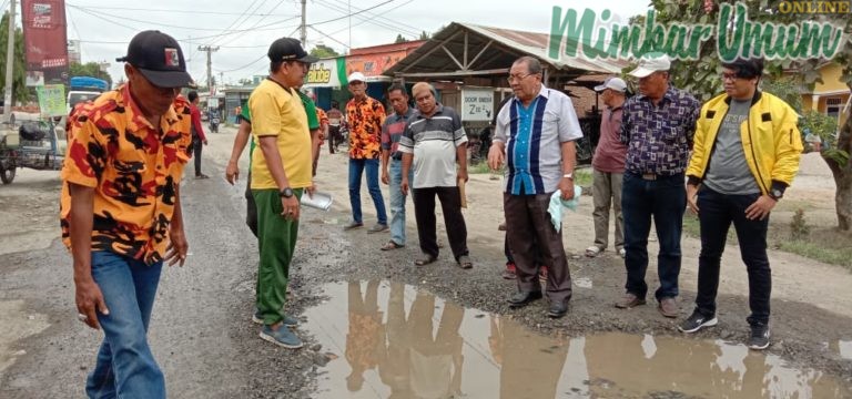 Wagirin Arman saat meninjau kondisi jalan Hamparan Perak yang rusak parah. (mimbar/jamal)