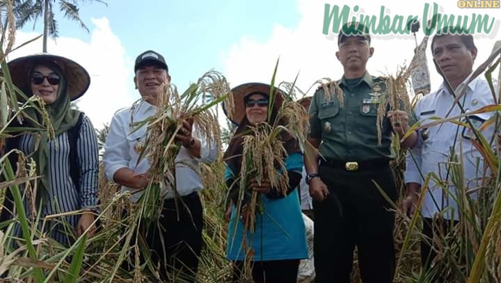 Irsan Efendi Nasution didampingi Kadis Pertanian Padang Sidimpuan Parimpunan. (mimbar/rizal nasution)