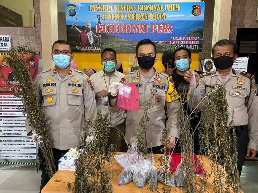 AKBP Irsan Sinuhaji memaparkan temuan batang pohon ganja di Polsek Medan Kota. (mimbar/ist)