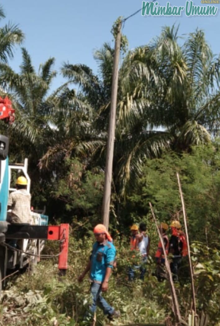 PLN ULP Gunung Tua melalui PT Raihan memperbaiki tiang listrik yang miring dan hampir roboh. (mimbar/siregar)