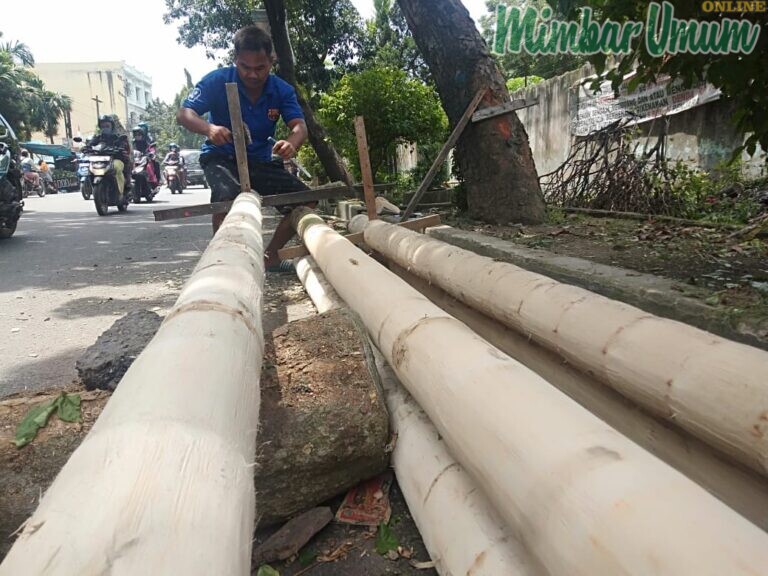 Penjual batang pohon pinang membersihkan kulit batang pohon pinang jelang perayaan HUT RI. (mimbar/budi)