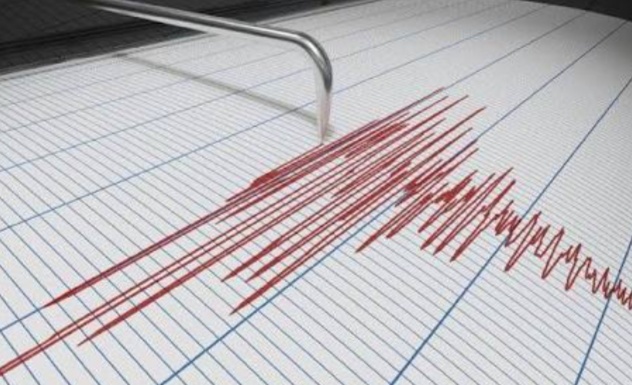 Ilustrasi gempa. (Ist)