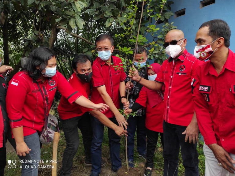 Syukuran HUT ke-74 Megawati, PDIP Medan Tanam Seribu Pohon