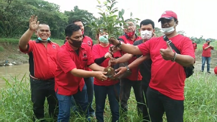 Semarakan HUT PDI Perjuangan PAC Medan Johor Tanam Ratusan Pohon 