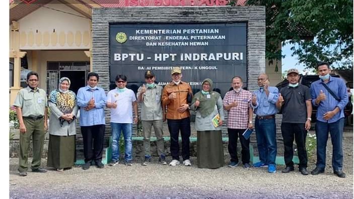Bupati Gayo Lues