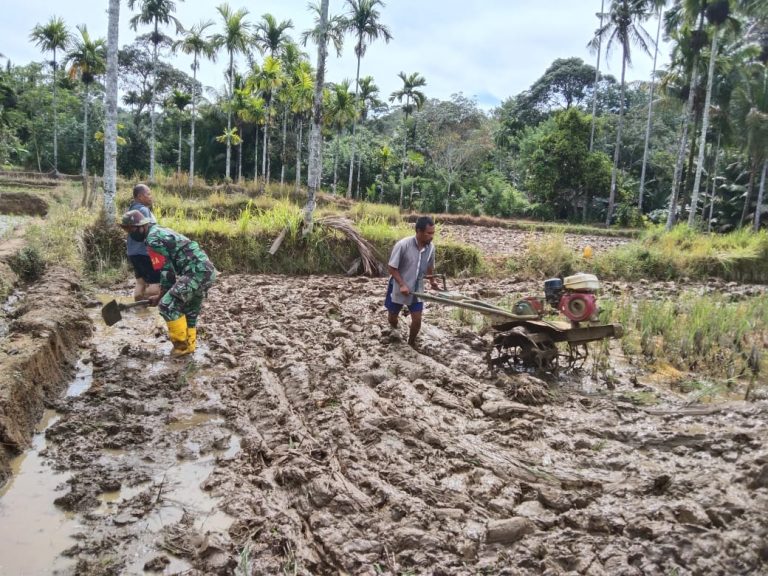 Satgas TMMD Bantu Petani Desa Sihuom Bajak Sawah