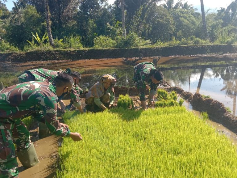 Waktu Luang, Anggota Satgas TMMD Bantu Warga Tanam Padi