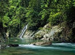 Tahun Depan, Pemprov Sumut Fokus Kembangkan Wisata Tangkahan, Bahorok dan Bukit Lawang