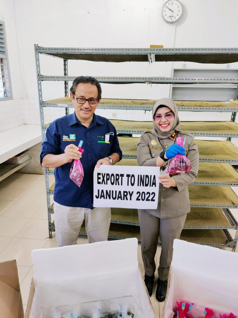 Kementan Bidik Target 4 Juta Kecambah Sawit Ekspor dari Sumut