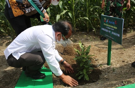 Gandeng Kodam I/BB, PT Inalum (Persero) Jalankan Komitmen Penghijauan Danau Toba Berlanjut