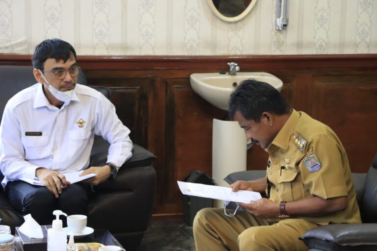 Tim Auditor BPK RI Turun ke Pemko Binjai