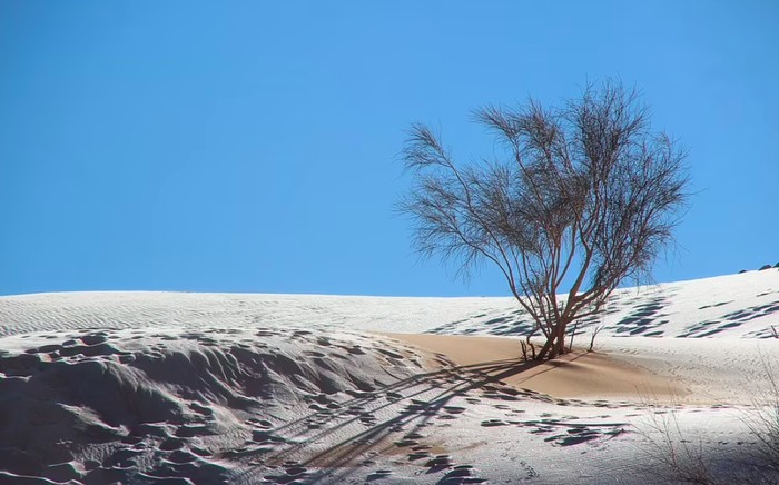 Langka, Salju Turun di Gurun Sahara