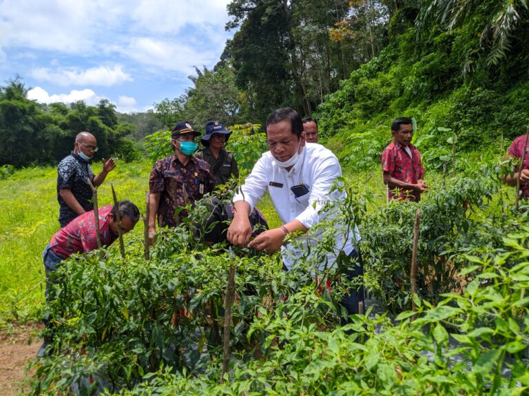 Irsan Dorong  Masyarakat di Desa, Jadikan Aset Lahan Tanah Lebih Produktif