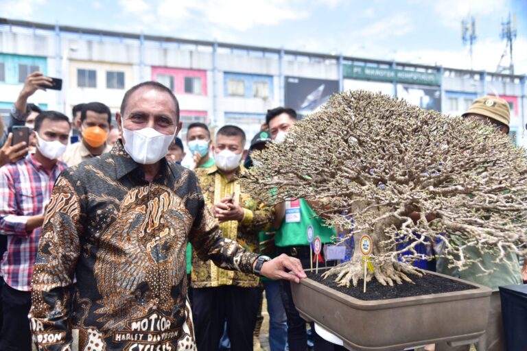 Tinjau Pameran Bonsai Tingkat Nasional, Ini Tanggapan Gubernur Edy!