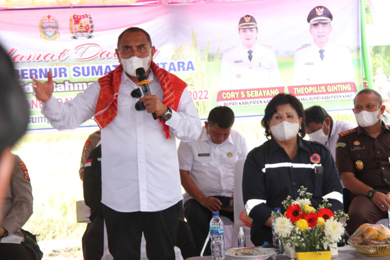 Gubernur Edy Rahmayadi Turun ke Sawah Panen Padi
