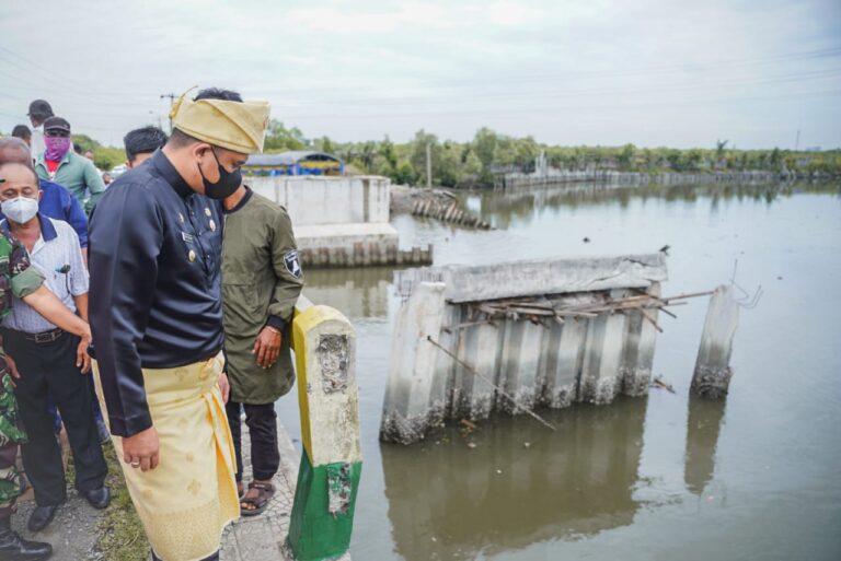 Wali Kota Medan Akui Dosa Jika Tidak Bangun Jembatan Titi Dua