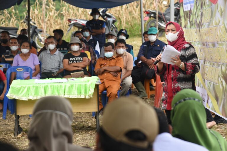 Ketua Dewan Rempah : Mari Globalkan Andaliman