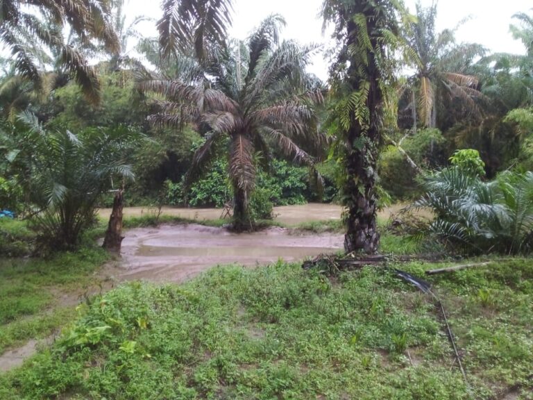 Diduga Produk Gagal, Paket Proyek Dinas PU Air Cipta Karya Akan Dilaporkan DPRD Komisi B Labura