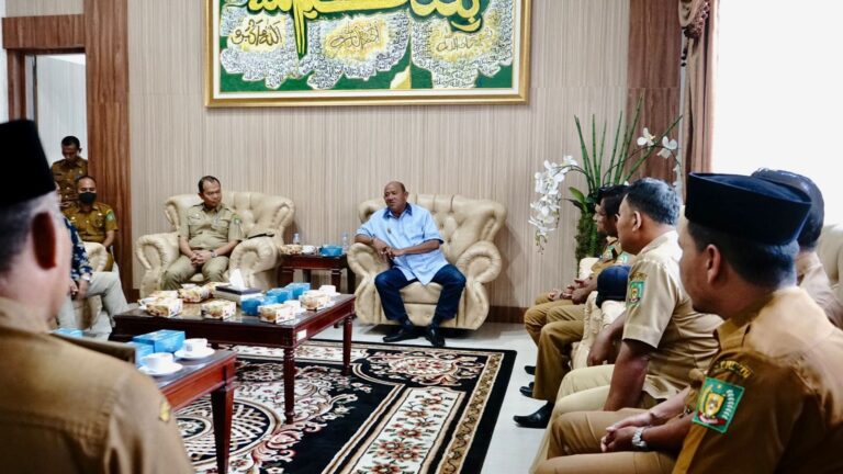 Aparatur Padang Tualang Audiensi Undang Afandin di Pelantikan Al Hidayah