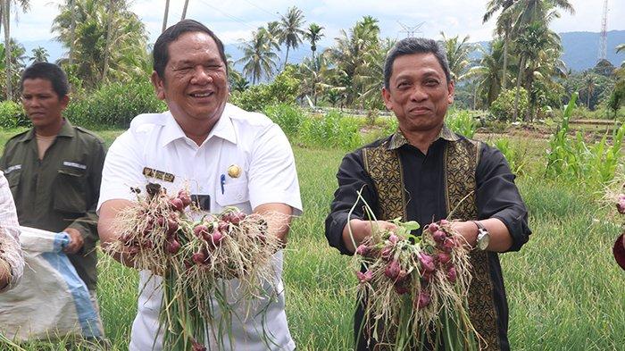 UISU Serahkan NA dan Gagas Penelitian Budidaya Bawang Merah