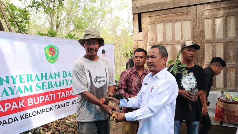Bupati Tapsel Terus Bergerak Bangun Sektor Pertanian