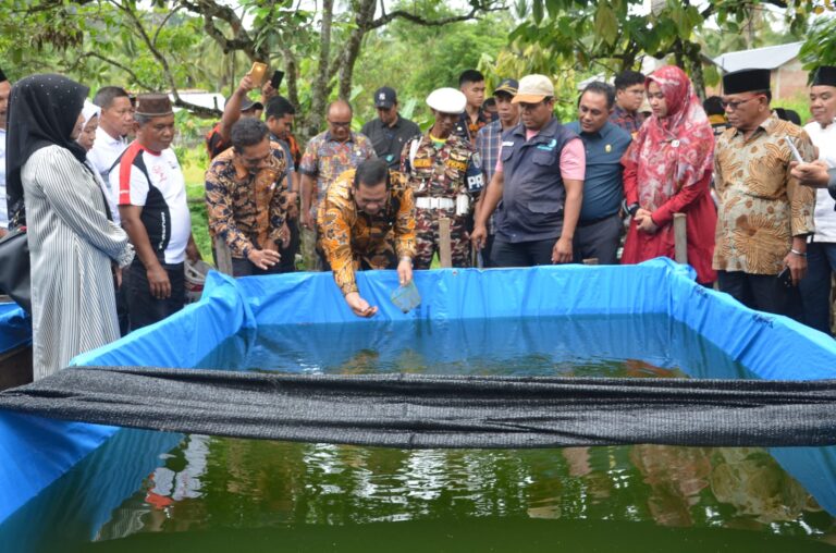 Permintaan Ikan Air Tawar di Pasar Sidempuan Masih Tinggi