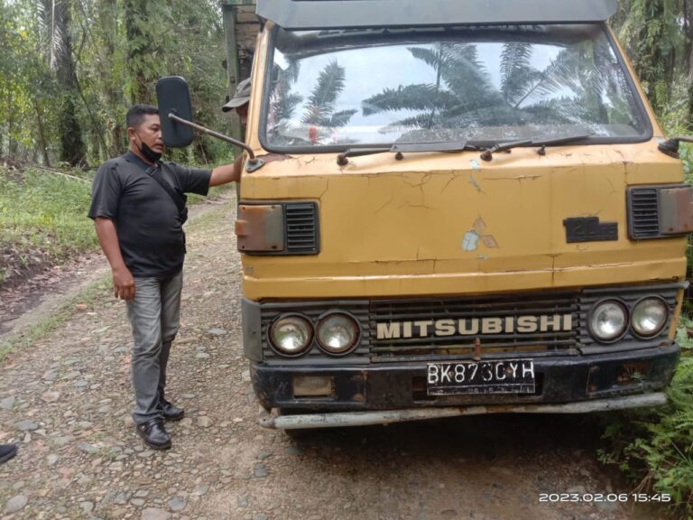 Mencuri Buah Sawit di Kebun Warga, Dua Pelaku Ditangkap Unit Reskrim Polsek Kualuh Hulu