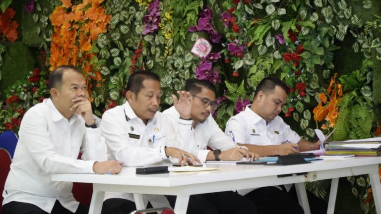 Pemkab Langkat Ikuti Sosialisasi Monitoring MCP Tahun 2023