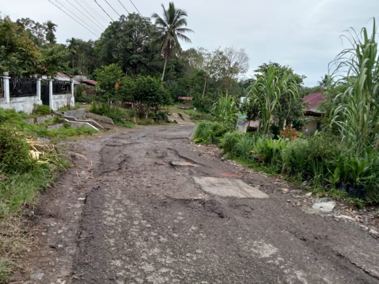 Warga Angkola Julu Kota Padang Sidempuan Keluhkan Jalan Rusak : Belum ada Perubahan Hancur Kali Pun
