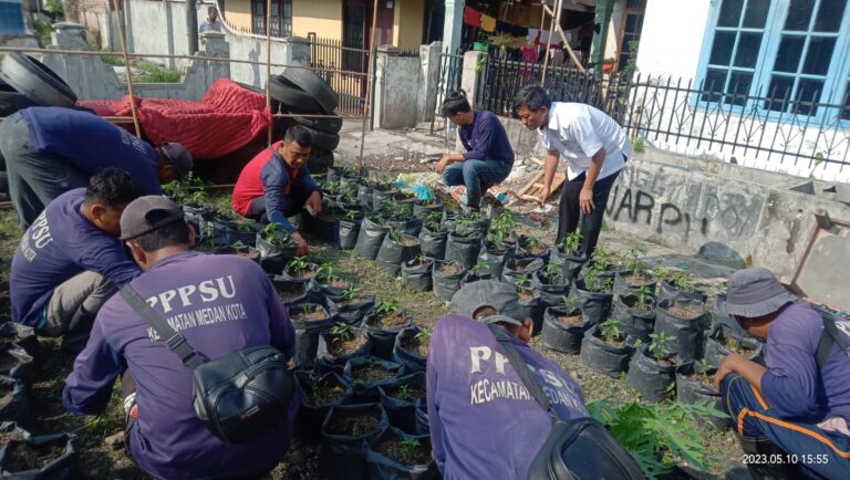 Lurah Komat III Berdayakan Masyarakat Memanfaatkan Lahan Kosong Menjadi Produktif