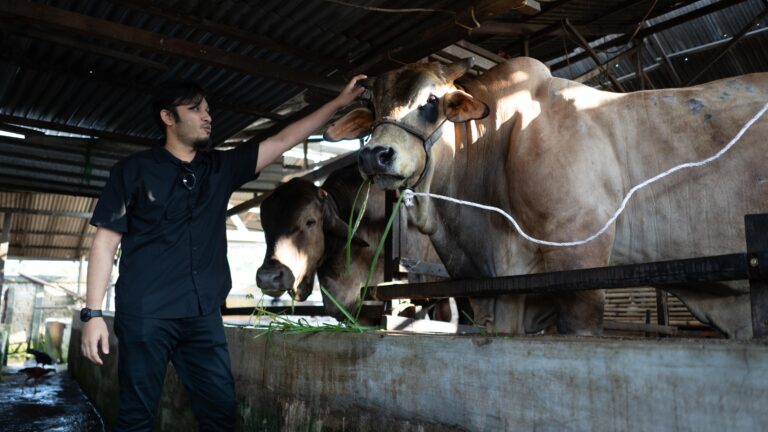 Kurban Sapi Brahman, Pemilik The Clinic Beautylosophy Medan Bagikan Daging ke 700 KK