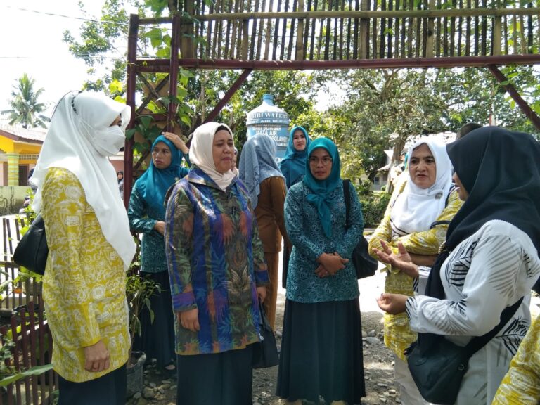 TP PKK Langkat Kembali Lakukan Pembinaan Aku Hatinya PKK di Desa Padang Berahrang