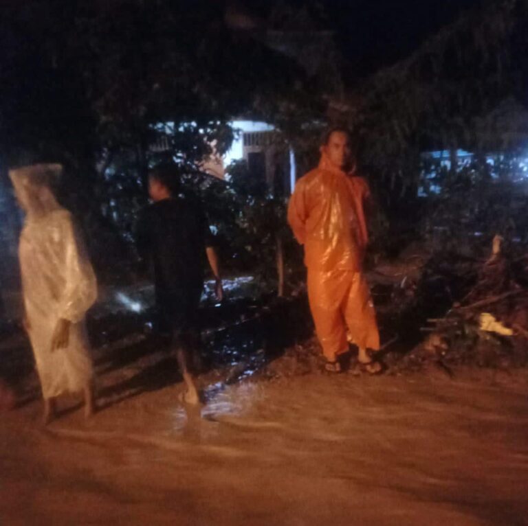Sebanyak 48 Rumah Warga Padangsidimpuan Terendam Banjir, Ini kata BPBD