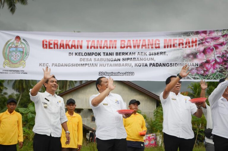 Wali Kota Irsan Efendi Nasution Tanam Bawang Merah Perdana di Desa Sabungan Sipabangun
