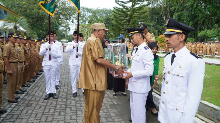 Plt Bupati Langkat Serahkan Penghargaan Tunggul Terbaik Kecamatan & Kelurahan 2023