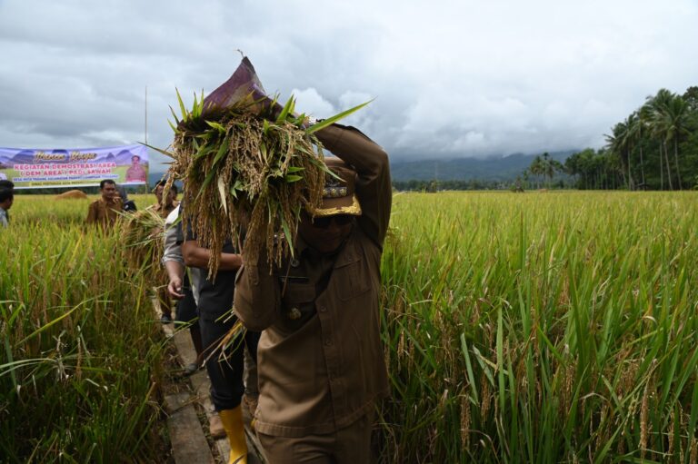 Letnan Dalimunthe Komitmen Rutin Tinjau Ketersediaan 9 Bahan Pokok di Sidimpuan 