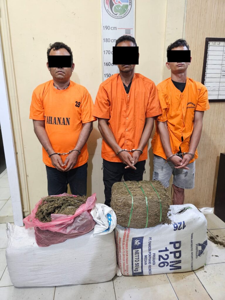 Sat Narkoba Polres Langkat Amankan Tiga Tersangka dan 32 Kg Ganja